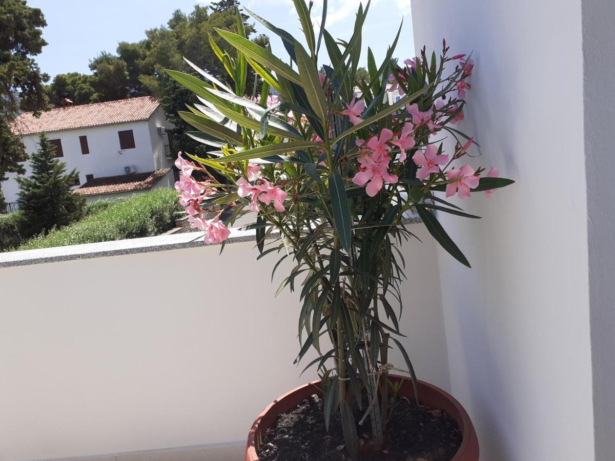 Apartmani Miletić Jelsa  Exterior foto